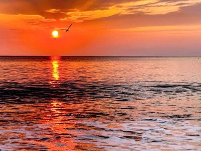 Holiday house Luxurioses Poolhaus -- By Traum Ferienwohnungen - Outdoor photo 44