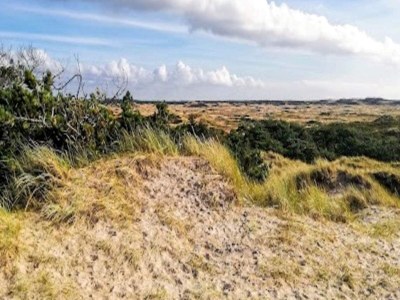 Holiday house Luxury Retreat with Pool - By Traum Ferienwohnungen - Outdoor photo 12