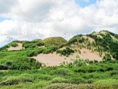 Holiday house Luxury Retreat with Pool - By Traum Ferienwohnungen - Outdoor photo 34