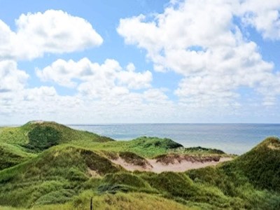 Holiday house Luxury Retreat with Pool - By Traum Ferienwohnungen - Outdoor photo 35