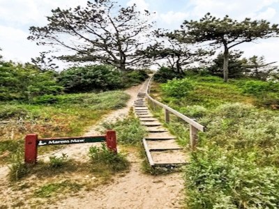 Holiday house Luxury Retreat with Pool - By Traum Ferienwohnungen - Outdoor photo 36