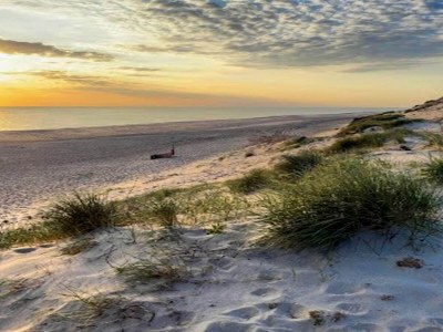 Holiday house Luxury Retreat with Pool - By Traum Ferienwohnungen - Outdoor photo 46