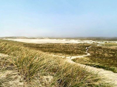 Holiday house Luxury Retreat with Pool - By Traum Ferienwohnungen - Outdoor photo 56