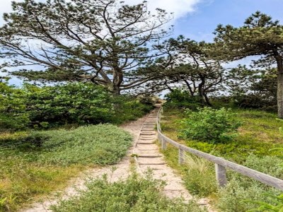 Holiday house Luxury Retreat with Pool - By Traum Ferienwohnungen - Outdoor photo 60