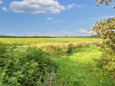 Holiday house Luxury Pool House Retreat - By Traum Ferienwohnungen - Outdoor photo 17