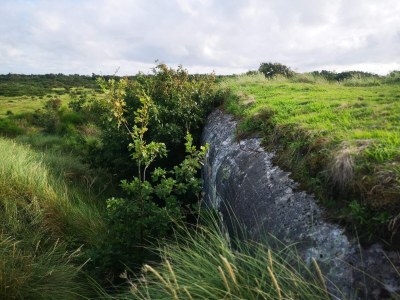 Holiday house Luxury Pool House Retreat - By Traum Ferienwohnungen - Outdoor photo 32