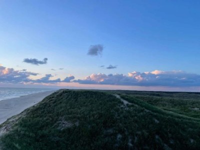Holiday house 4 Sterne Ferienhaus in Ulfborg - Outdoor photo 16