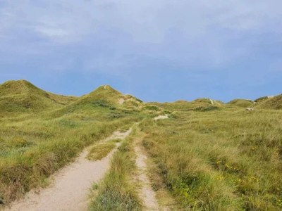 Holiday house 4 Sterne Ferienhaus in Ulfborg - Outdoor photo 35