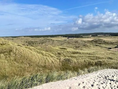 Holiday house 4 Sterne Ferienhaus in Ulfborg - Outdoor photo 47