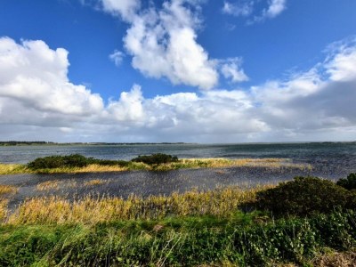 Holiday house 26 Personen Ferienhaus in Thyholm - Outdoor photo 38