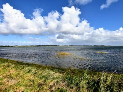 Holiday house 26 Personen Ferienhaus in Thyholm - Outdoor photo 46