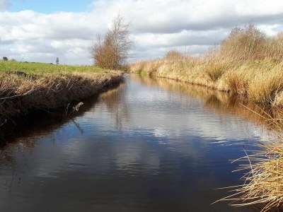 Holiday house Luxury Forest Retreat - By Traum Ferienwohnungen - Outdoor photo 12