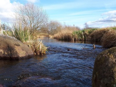 Holiday house Luxury Forest Retreat - By Traum Ferienwohnungen - Outdoor photo 29