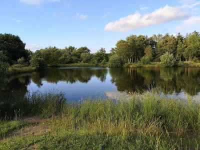 Holiday house Luxury Forest Retreat - By Traum Ferienwohnungen - Outdoor photo 30