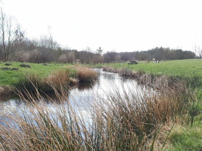 Holiday house Luxury Forest Retreat - By Traum Ferienwohnungen - Outdoor photo 31