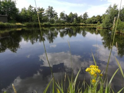 Holiday house Luxury Forest Retreat - By Traum Ferienwohnungen - Outdoor photo 33