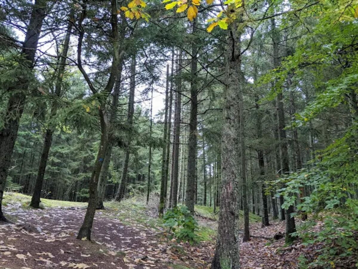 Holiday house 4 star holiday home in Brande - Outdoor photo 2