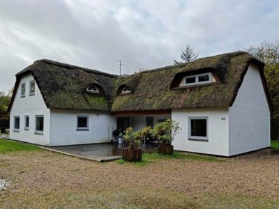 Holiday house 4 star holiday home in Brande - Holiday house