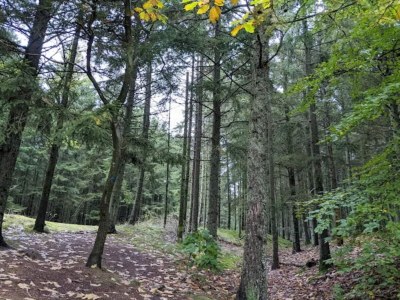 Holiday house 4 star holiday home in Brande - Outdoor photo 2