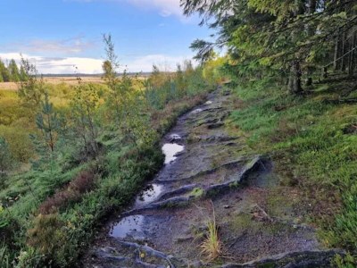 Holiday house 4 star holiday home in Brande - Outdoor photo 3