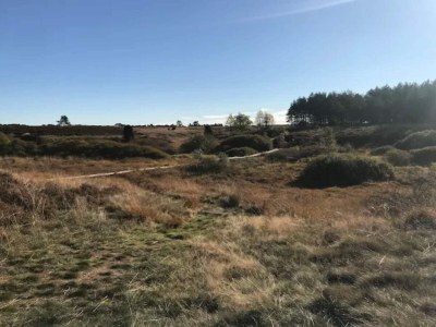 Holiday house 4 star holiday home in Brande - Outdoor photo 11