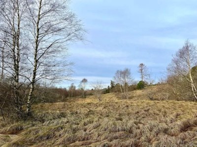 Holiday house 4 star holiday home in Brande - Outdoor photo 13