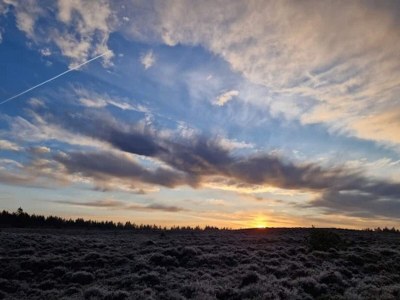 Holiday house 4 star holiday home in Brande - Outdoor photo 14