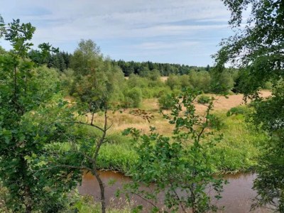 Holiday house 4 star holiday home in Brande - Outdoor photo 15