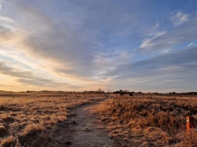 Holiday house 4 star holiday home in Brande - Outdoor photo 16