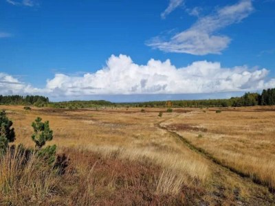 Holiday house 4 star holiday home in Brande - Outdoor photo 17