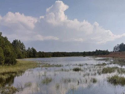 Holiday house 4 star holiday home in Brande - Outdoor photo 18