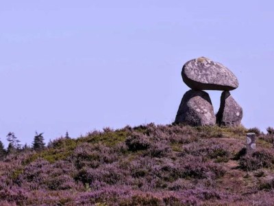 Holiday house 4 star holiday home in Brande - Outdoor photo 20