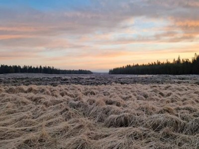 Holiday house 4 star holiday home in Brande - Outdoor photo 24