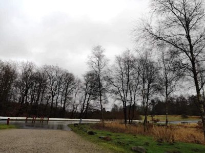 Holiday house 4 star holiday home in Brande - Outdoor photo 25