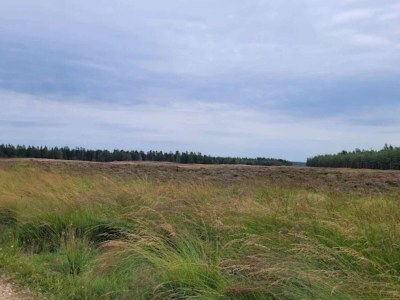 Holiday house 4 star holiday home in Brande - Outdoor photo 30