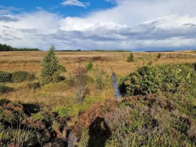 Holiday house 4 star holiday home in Brande - Outdoor photo 35