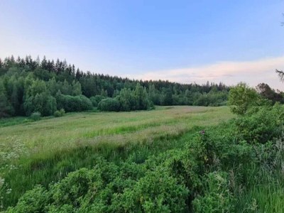 Holiday house 4 star holiday home in Brande - Outdoor photo 37