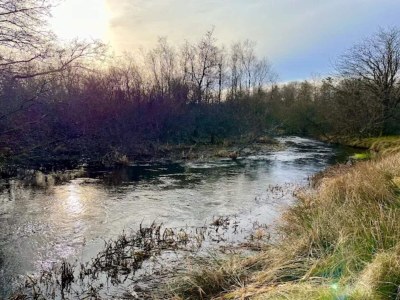 Holiday house 4 star holiday home in Brande - Outdoor photo 39