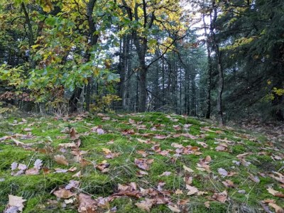 Holiday house 4 star holiday home in Brande - Outdoor photo 40