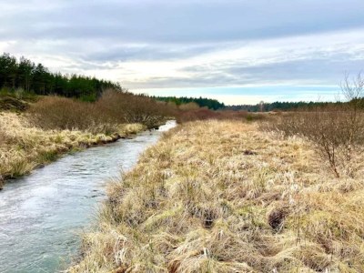 Holiday house 4 star holiday home in Brande - Outdoor photo 48