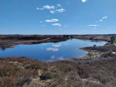 Holiday house 4 star holiday home in Brande - Outdoor photo 49