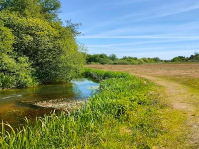 Holiday house 4 star holiday home in Brande - Outdoor photo 50