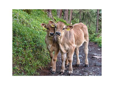 Apartment Ferienwohnung Parterre - Outdoor photo 9
