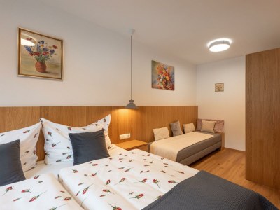 Apartment Spielberg - Features photo 11