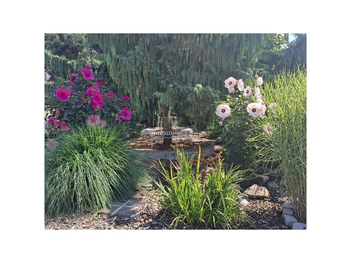 Holiday apartment No title - Outdoor photo 4