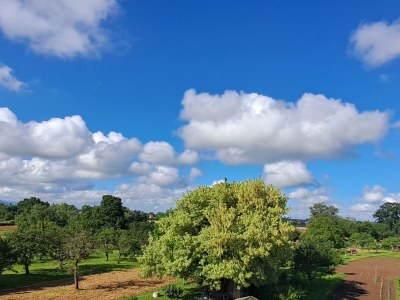 Holiday apartment No title - Features photo 31