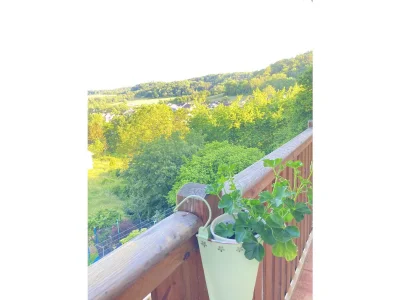 Holiday apartment Auf der Wiese in Aach b Trier - Holiday apartment