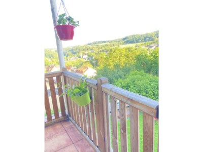 Holiday apartment Auf der Wiese - Outdoor photo 3