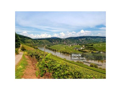 Holiday apartment Auf der Wiese - Environment photo 18