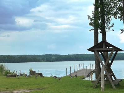 Holiday house Ferienhaus Seeluft in Klein Labenz - Environment photo 41